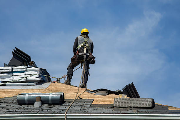 Professional Storm Damage Roof Repair technician working in Comstock, MN